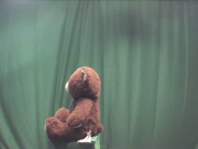 90 Degrees _ Picture 9 _ Brown and Green Teddy Bear.png